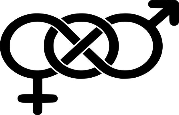Bisexuality Defintion Biphobia Bi Invisibility Health Issues