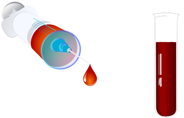  C Peptide 